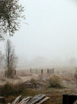 octsnowgate