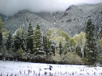 Picture03