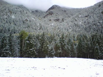 Picture05