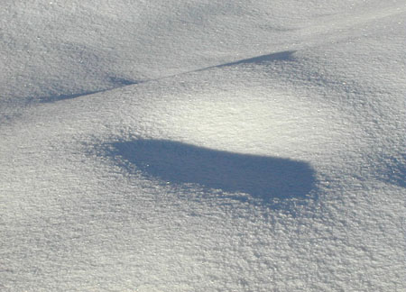 snowbowl