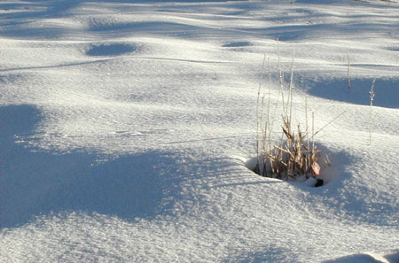 snowbowl4