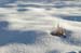 snowbowl4