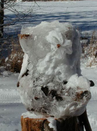 frozenstar