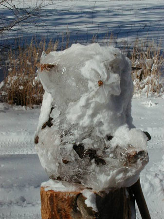 frozenstar1