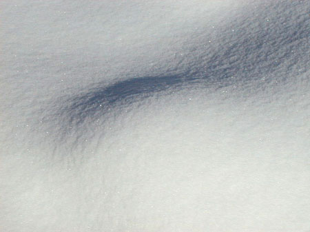 snowshadows2
