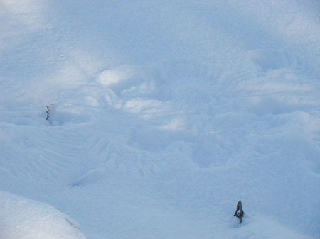 snowshadows6