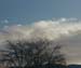 ripples1