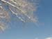 skyward