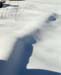 snowshadows1